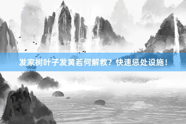 发家树叶子发黄若何解救？快速惩处设施！