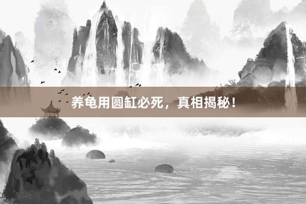 养龟用圆缸必死，真相揭秘！